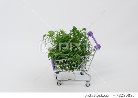 There are microgreens in the shopping cart. Young sprouts of peas lie in a heap in a shopping basket. Microgreens purchase concept. Price, demand for greens. There is space for text. 78250853