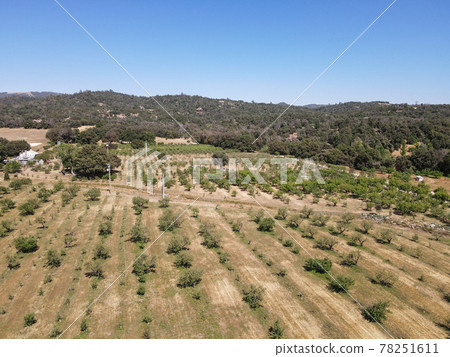 Aerial view of apple tree land in Julian, town famous for its apples and apple pie. California, USA 78251611