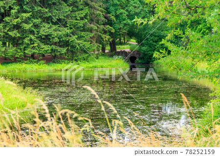 Stone arch bridge across a small river in Catherine park in Pushkin (Tsarskoye Selo), Russia Stone arch bridge across a small river in Catherine park in Pushkin (Tsarskoye Selo), Russia 78252159