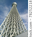 Sky tree  78252218