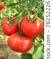 It was delicious and fruitful 78252226