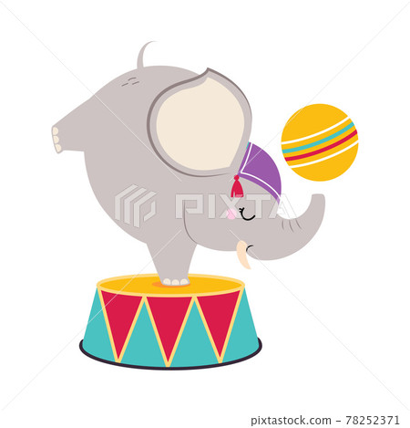 Circus Elephant Animal on Drum with Ball Standing on Front Legs Performing Trick Vector Illustration Circus Elephant Animal on Drum with Ball Standing on Front Legs Performing Trick Vector Illustration 78252371