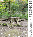 A stump that seems to have spirits 78254016
