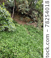 In nature 78254018