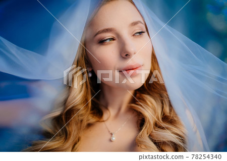 beautiful bride with long wavy hair under the veil. Wedding make-up.  78254340