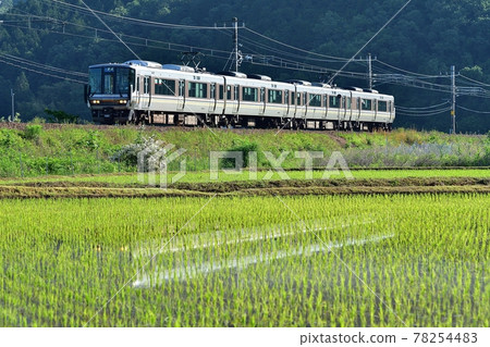 電車 jr山陰本線 京都口 水鏡田園 初夏 京都龜岡 南灘市嵯峨野線 Normal 78254483