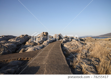 鴨浦散步道 鴨浦散步道 78255417