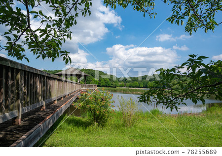 Matsudo City: Forest and Plaza in the 21st Century 78255689