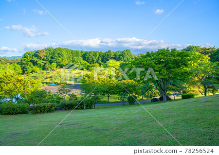 Spring scenery Nasunogahara Park Scenery from the vicinity of the observation hill 78256524