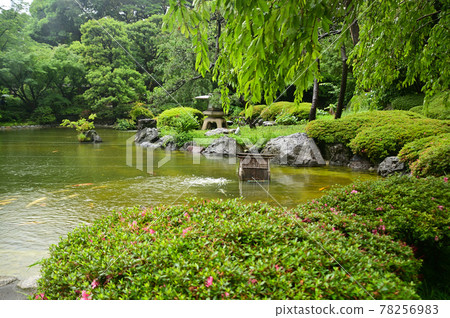 Japanese garden in the rain Japanese garden in the rain 78256983