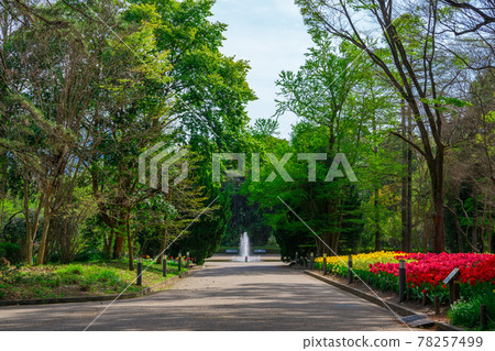京都府植物園 78257499