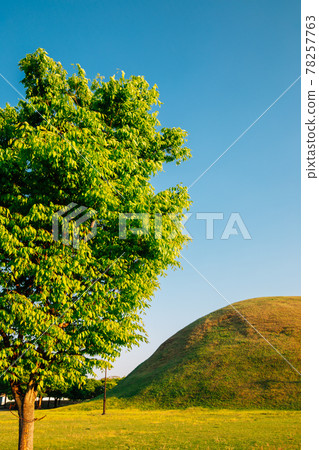Daereungwon ancient tomb in Gyeongju, Korea Daereungwon ancient tomb in Gyeongju, Korea 78257763