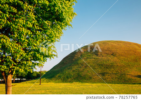 Daereungwon ancient tomb in Gyeongju, Korea Daereungwon ancient tomb in Gyeongju, Korea 78257765