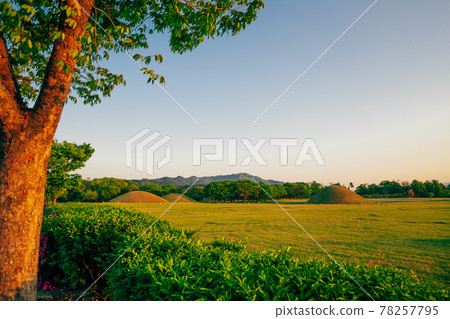 Sunset of Inwang-dong ancient tomb complex in Gyeongju, Korea 78257795