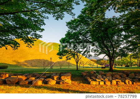 Daereungwon ancient tomb in Gyeongju, Korea Daereungwon ancient tomb in Gyeongju, Korea 78257799