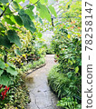 Path surrounded by plants 78258147