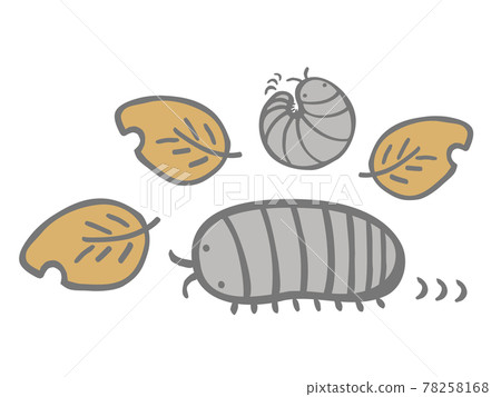 Cute pill bug and dead leaf set insect creature / handwritten illustration 78258168