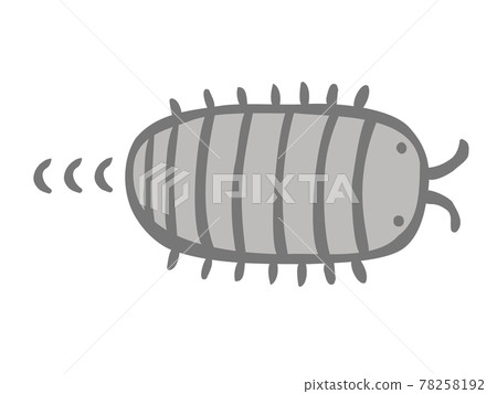 Cute pill bug insect creature / handwritten illustration Cute pill bug insect creature / handwritten illustration 78258192