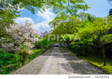 The approach of Kyoto Nikkoin 78258341