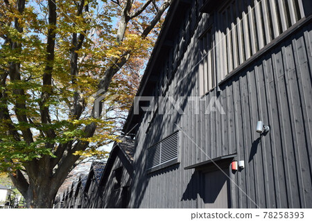 Yamai warehouse zelkova tree lined trees 78258393