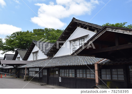 Yamai倉庫zelkova樹排行了樹 78258395