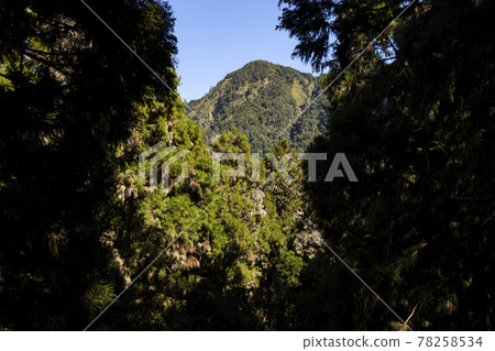 從樹林的間隙眺望遠處的山峰 從樹林的間隙眺望遠處的山峰 78258534