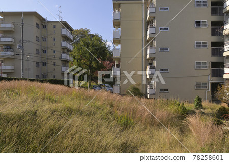 千里新城新千里南町(大阪府豐中市)縣立新千里南町住宅 千里新城新千里南町(大阪府豐中市)縣立新千里南町住宅 78258601