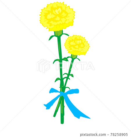 插圖素材：父親節，用絲帶繫著的兩根手寫康乃馨 78258905