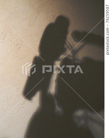 Background material Botanical light and shadow Diatomaceous earth wall Background material Botanical light and shadow Diatomaceous earth wall 78259587