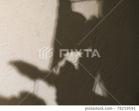 Background material Botanical light and shadow Diatomaceous earth wall Background material Botanical light and shadow Diatomaceous earth wall 78259591