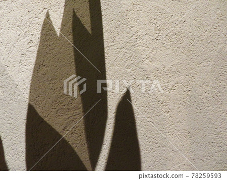 Background material Botanical light and shadow Diatomaceous earth wall Background material Botanical light and shadow Diatomaceous earth wall 78259593