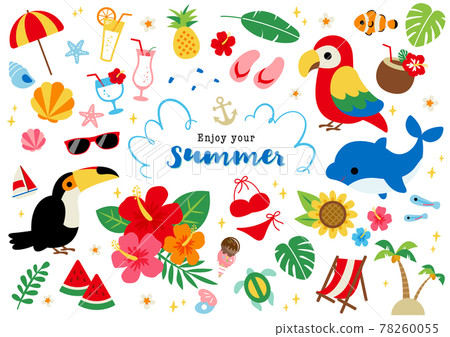 Summer tropical illustration 78260055