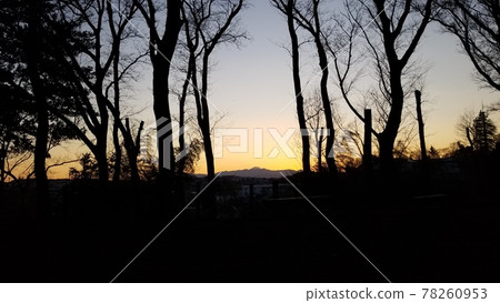 Sunset in the forest 78260953