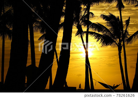 Waikiki at dusk 78261626