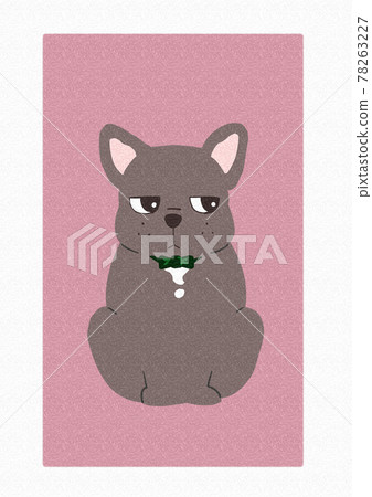 Illustration of a sitting French bulldog seen from the front Illustration of a sitting French bulldog seen from the front 78263227