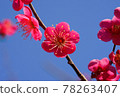 梅花蝴蝶之字形 78263407