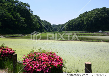 初夏的吉客故鄉村 初夏的吉客故鄉村 78264717