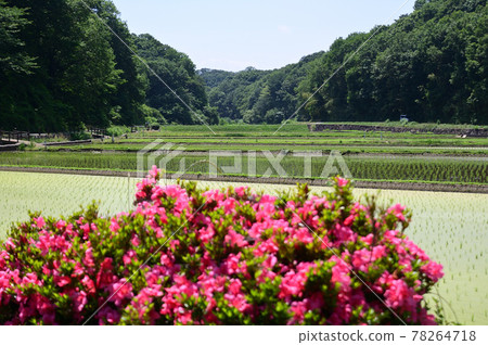 初夏的吉客故鄉村 初夏的吉客故鄉村 78264718