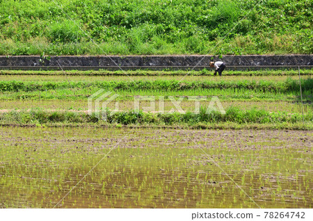 Jike Furusato Village in early summer 78264742