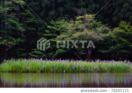 Piercing rust of rock pond 78265115