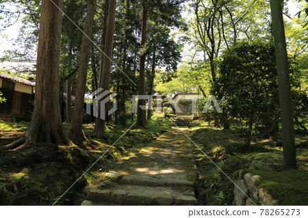 三井寺（天台寺門宗，總本山禦乘寺，西國第十四不正宗）[滋賀縣大津市] 78265273