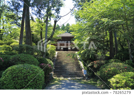 三井寺（天台寺門宗，總本山禦乘寺，西國第十四不正宗）[滋賀縣大津市] 78265279