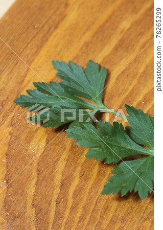 意大利歐芹 意大利歐芹 78265299