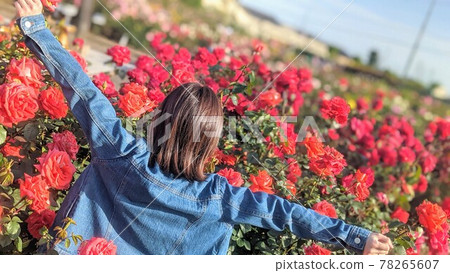 花花女人花田短玫瑰玫瑰背景風景春天 花花女人花田短玫瑰玫瑰背景風景春天 78265607