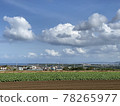Sky, sea and fields 78265977