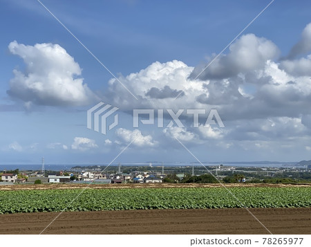 Sky, sea and fields 78265977