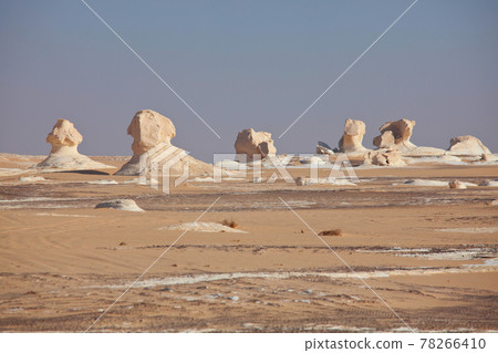 White desert in Egypt White desert in Egypt 78266410