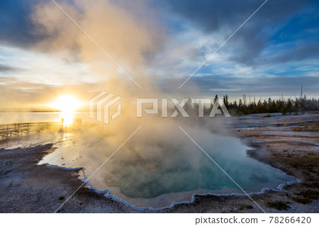 Yellowstone 78266420