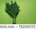 bunch fresh green dill isolated on green background 78266555