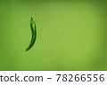 green monochrome with green pepper on a background 78266556